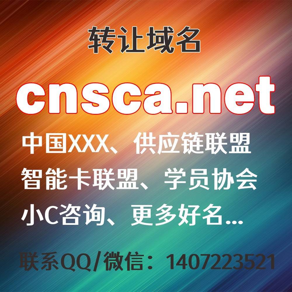 转让域名：cnsca.net，中国XXX、供应链联盟、智能卡联盟、学员协会、小C咨询、更多好名...